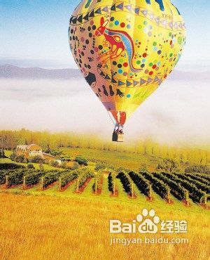 春节玩转澳洲三种方式看尽好风景