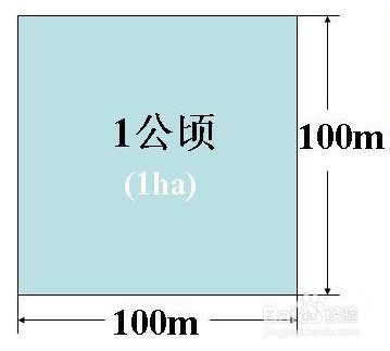 公顷和平方千米怎么巧记