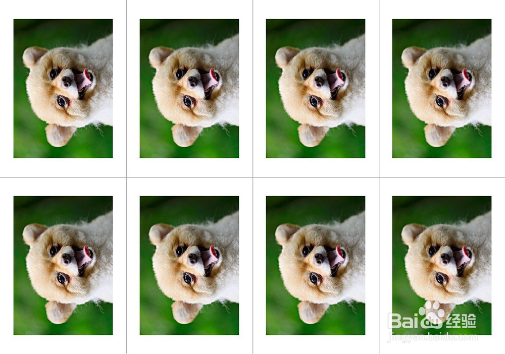 教你用光影魔术手把照片做成一寸照大小