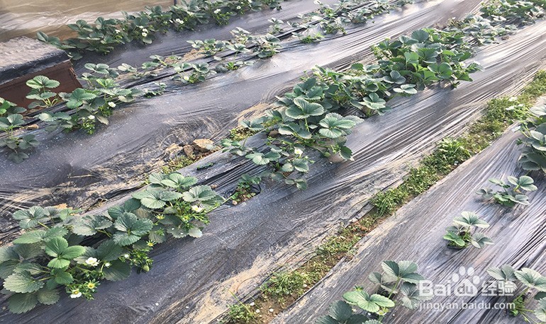 长沙周边好的农家乐