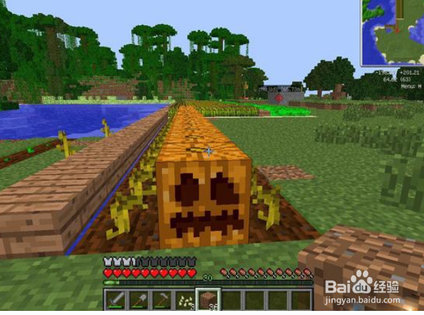 我的世界南瓜怎么雕刻