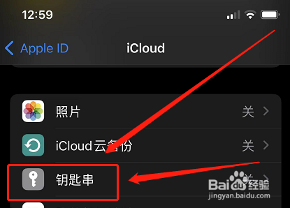 苹果手机怎么记住密码自动登录