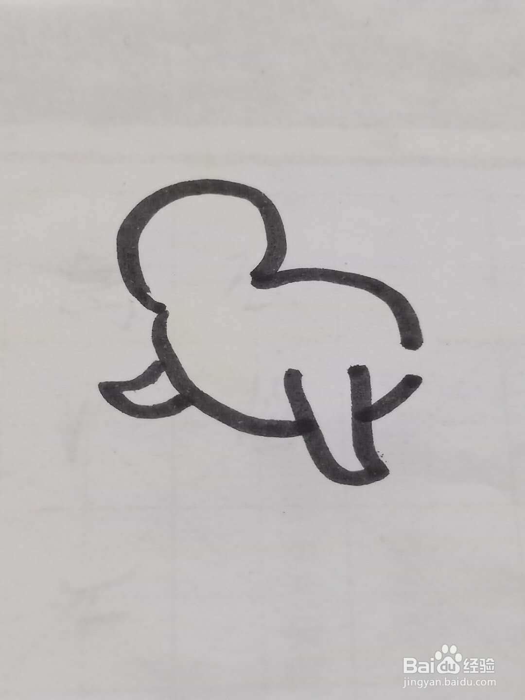 怎样画海豹