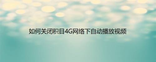 如何关闭积目4G网络下自动播放视频