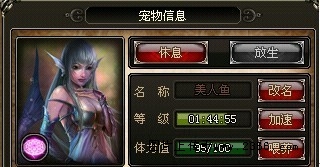魔塔世界战士养成攻略