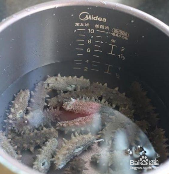 发海参的正确方法