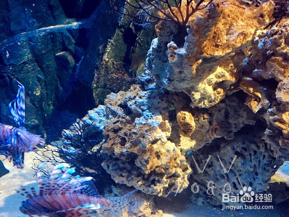 周末京畿首尔景点一日游(附首尔一日券)