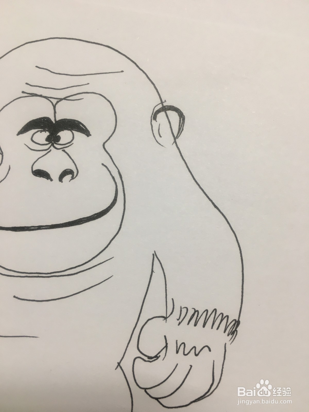 简笔画：手绘一只猩猩 儿童美术 幼儿绘画
