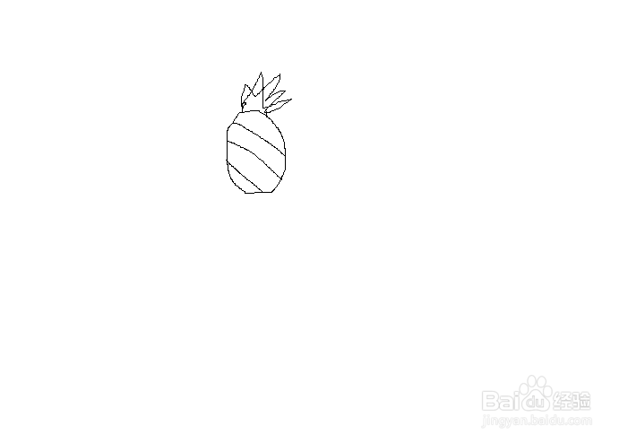 简笔画之菠萝