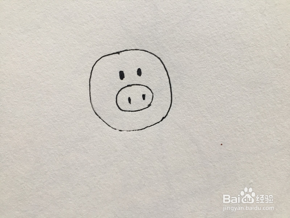 如何画一个简单的小猪简笔画