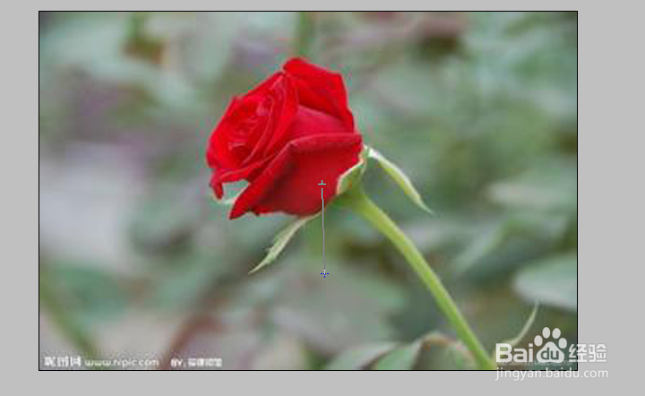 怎样使用photoshop中的渐变工具
