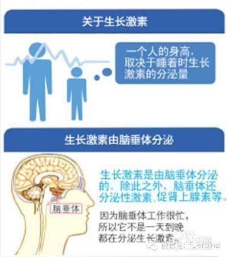 如何选择睡觉时间让宝宝长高个