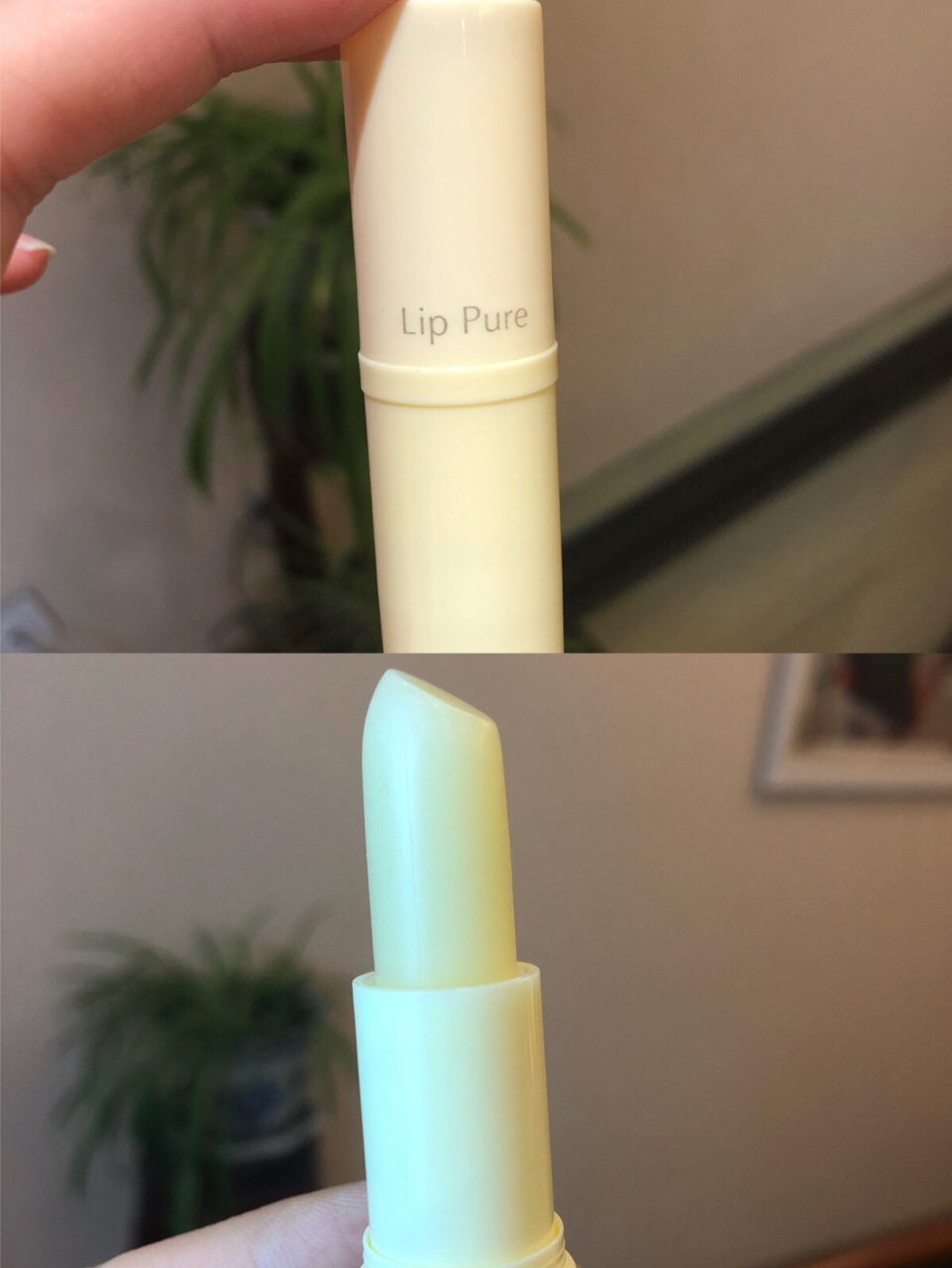 超火唇膏深度测评合集！唇部保养合集！