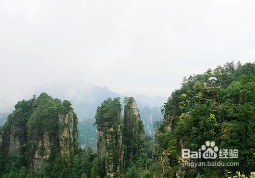 冬季张家界攻略