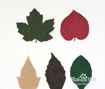 树叶书签最简单的做法