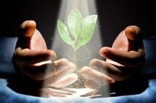 引起癫痫发作的原因