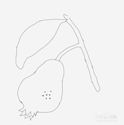 简笔画石榴是怎么画的