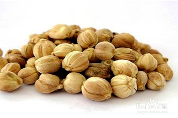 怎样使用犀牛角和白豆蔻？-----中药的使用