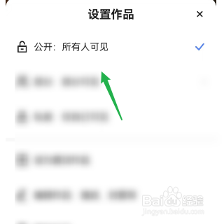 怎样设置快手自己的作品公开可见