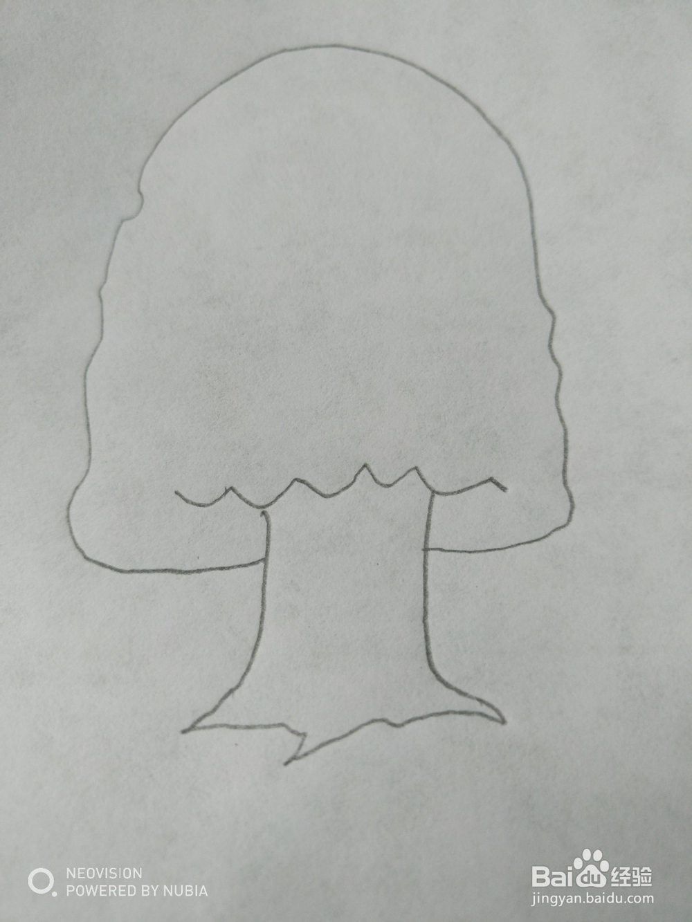 简单的大树怎么画（四）