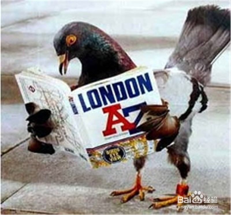 学外语可一通百通！