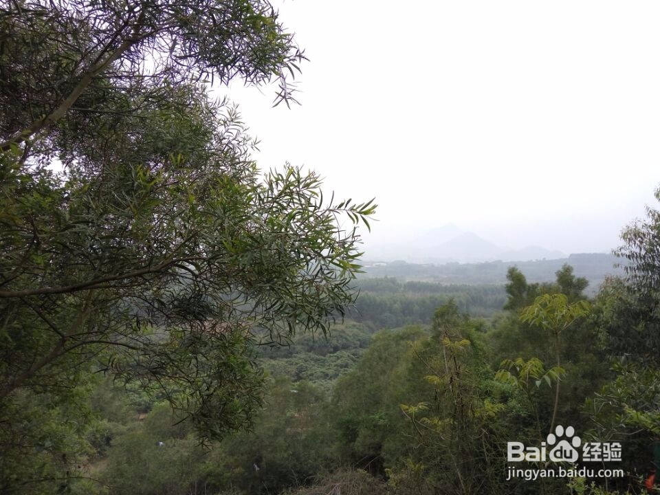 漳州云洞岩一日游
