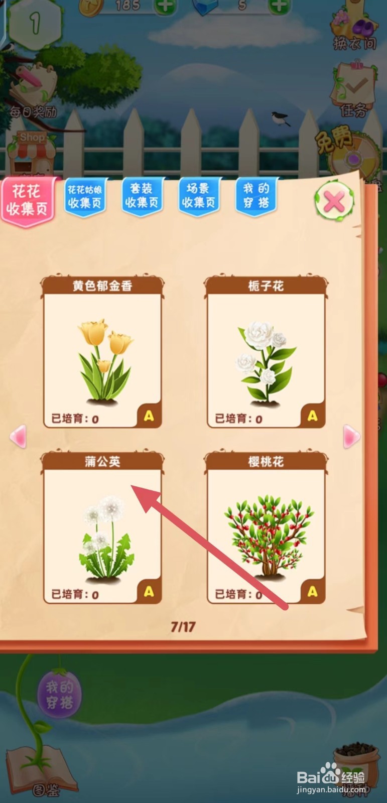 花花姑娘之魔法花园怎么查看蒲公英的生长速度