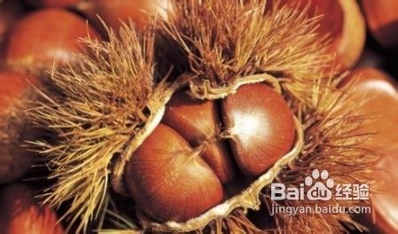 如何DIY天然鼻贴巧去黑头