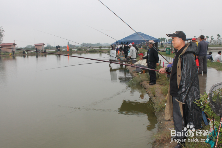 春天如何钓鲫鱼