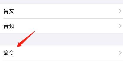 iPhone怎么查看旁白中的所有命令