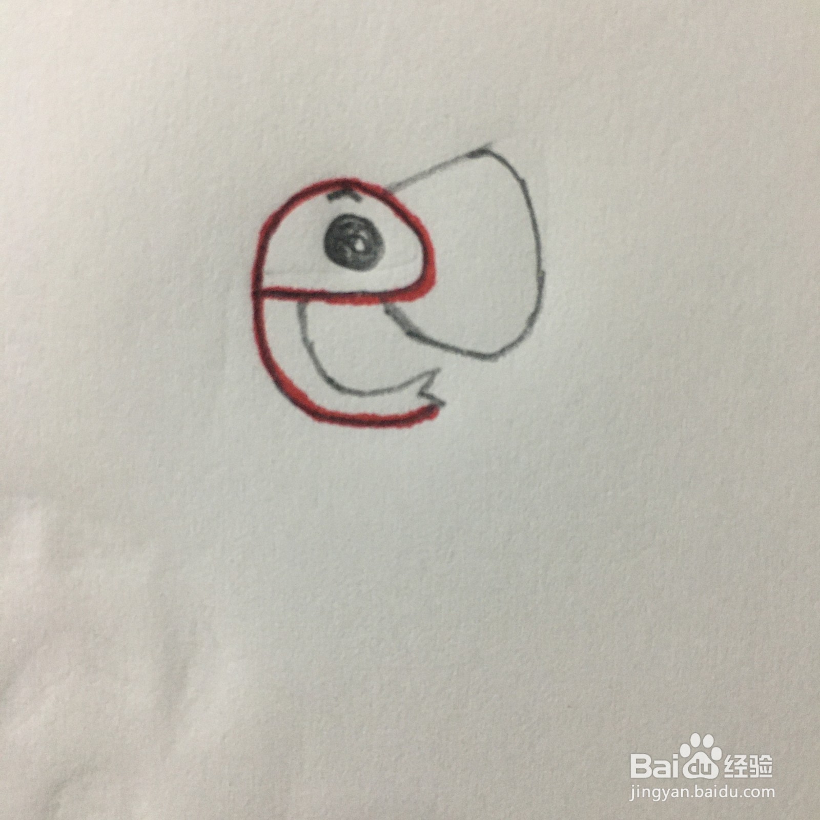 字母E简笔画画大象怎么画