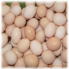 怎样才能快速辨别鸡蛋的好坏