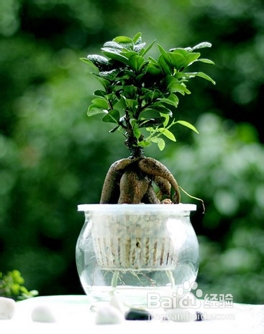 孕妇夏季怎么防中署？