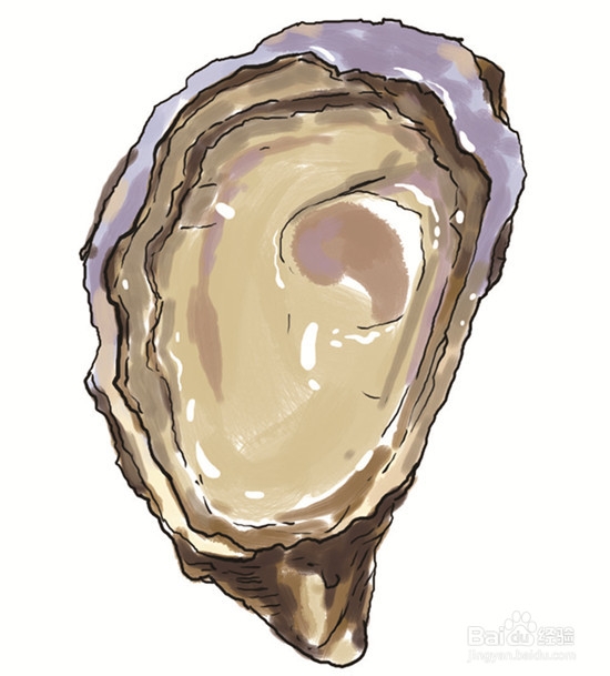 关于生蚝你该知道的8件事情!