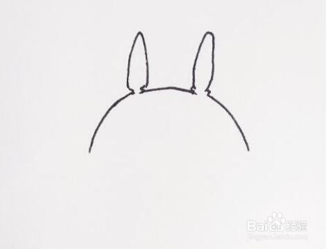 龙猫简笔画手绘教程