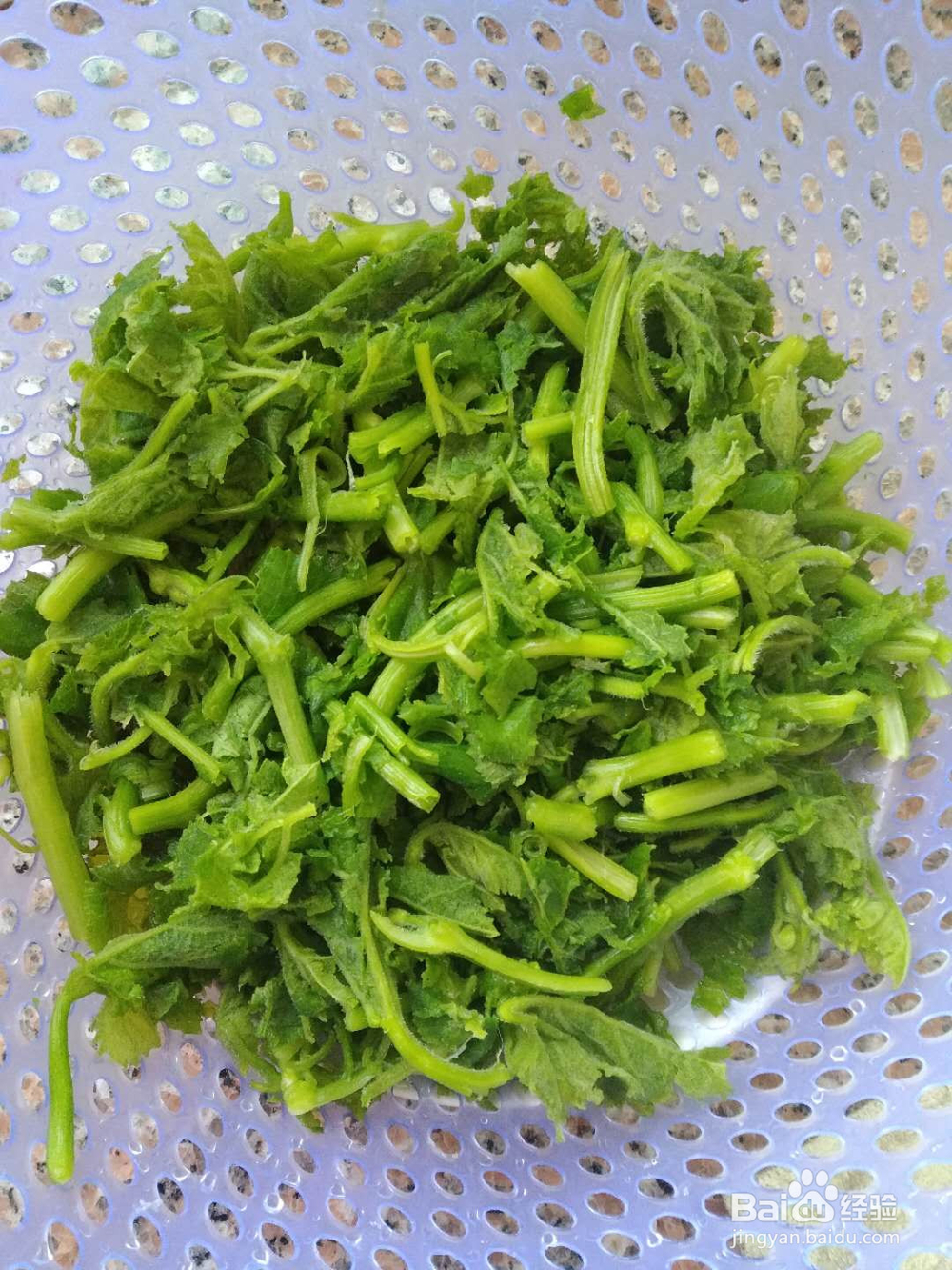 美食：清炒南瓜藤