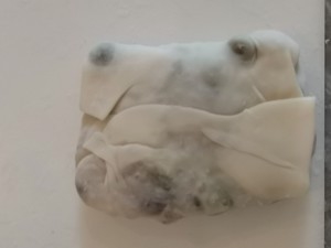 食补佳品腊肉豌豆糯米盒子的做法