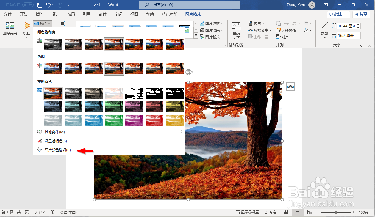 如何在Microsoft Office 365中设置图片格式