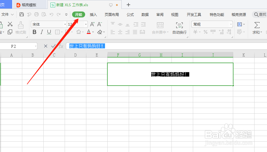 Excel表格中，怎么设置字体的格式？