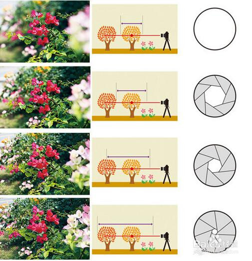 OPPOR9s和VIVOX9s哪个好哪个更值得入手