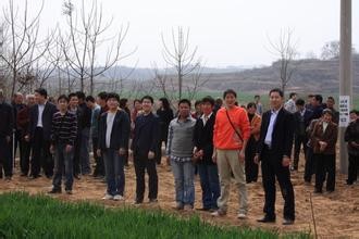 清明节扫墓新方式