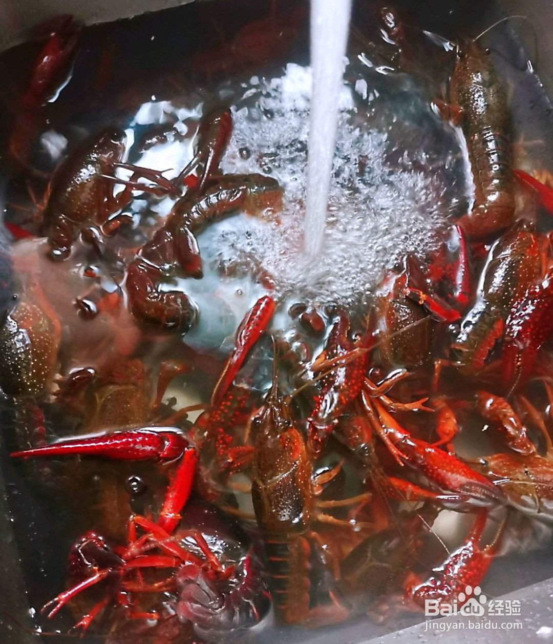 香辣小龙虾的做法
