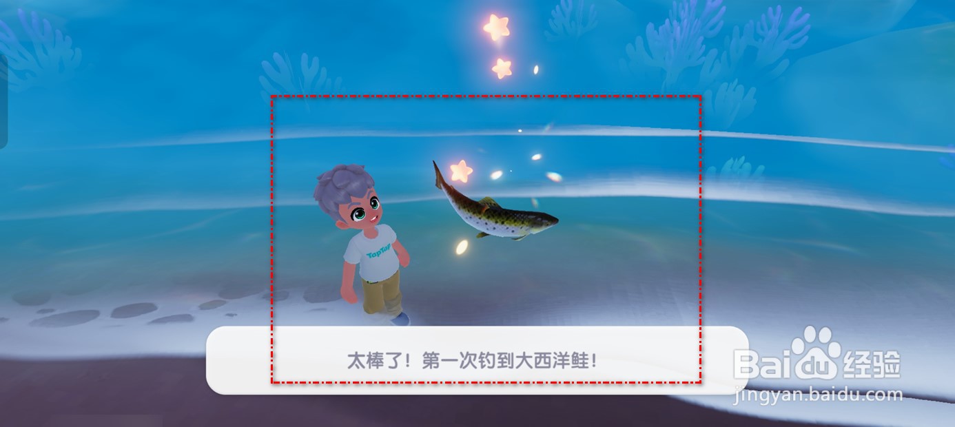 心动小镇怎么钓大西洋鲑