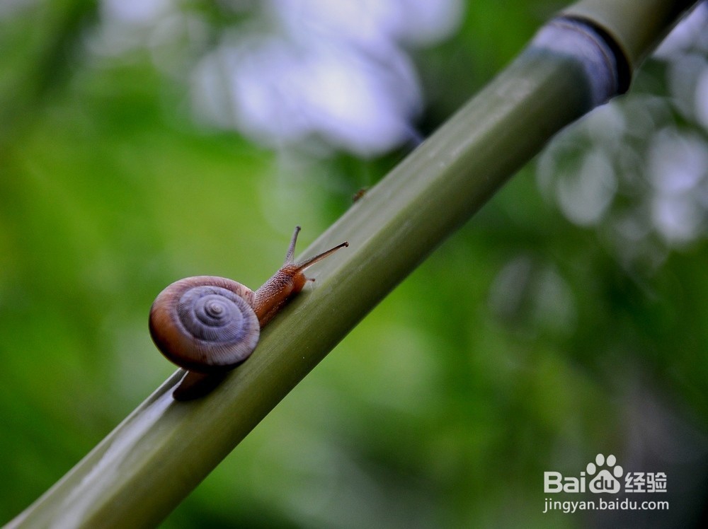 一天一个字，七天让自己蜕变