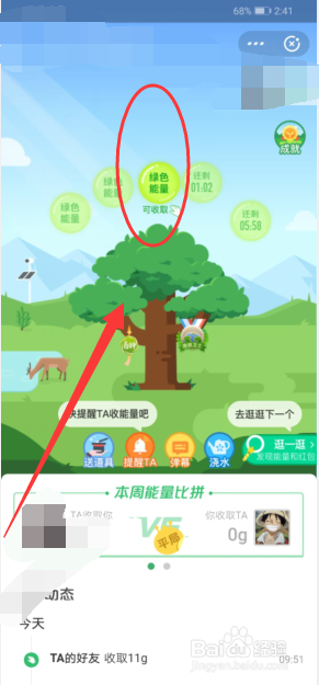 支付宝蚂蚁森林怎么收取能量