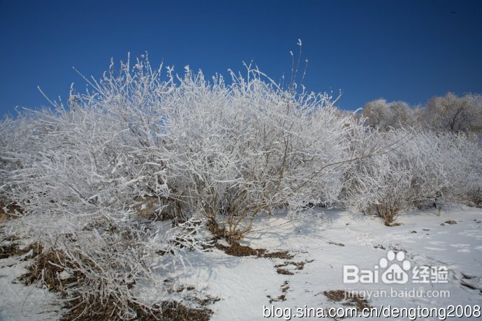 吉林两日亲子游