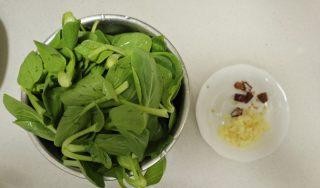 蒜蓉鸡毛菜怎么做？