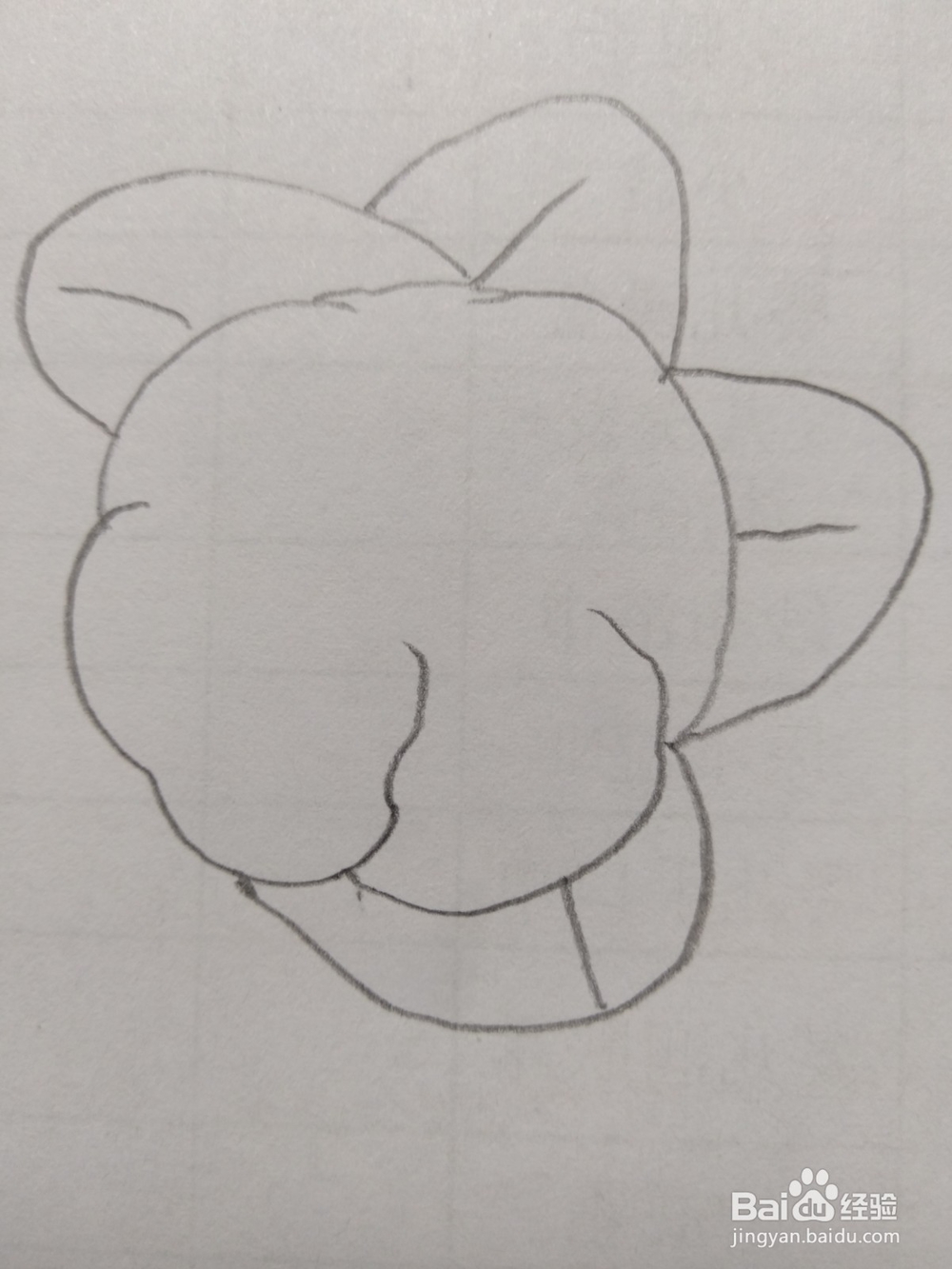 简笔画菜花画法2