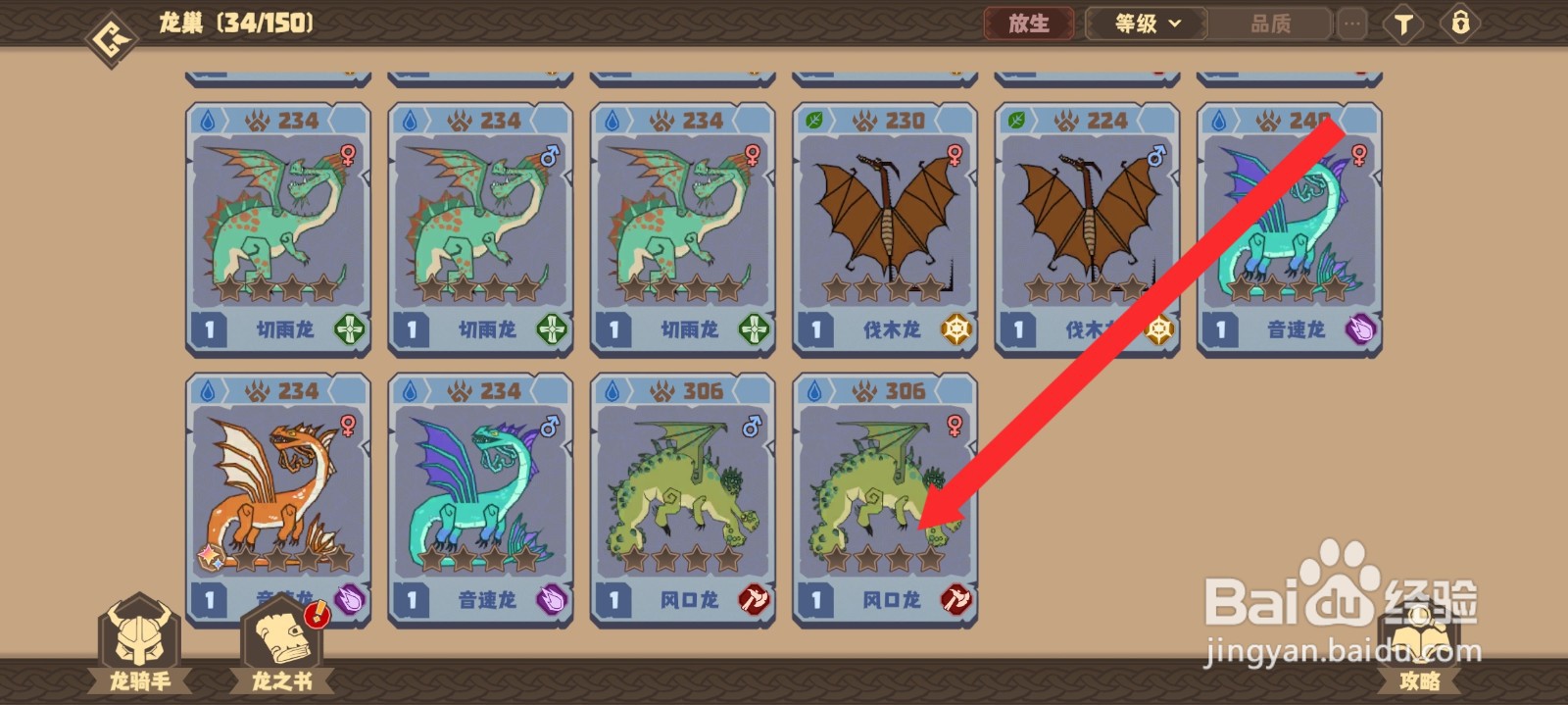 驯龙高手旅程如何升级风口龙