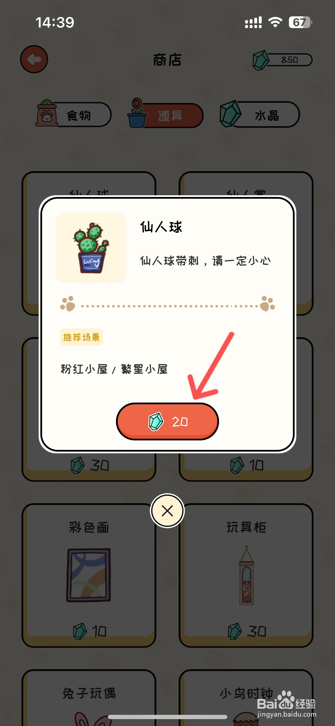 萌小喵日记怎么购买到仙人球